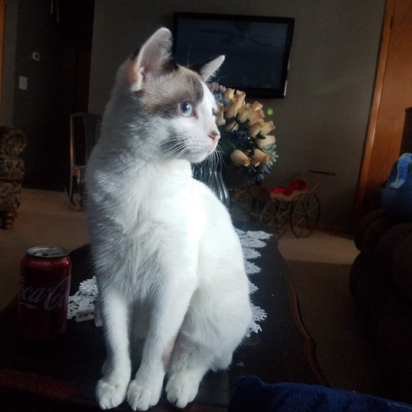 Meet your Posher, Sally - Picture 11 of 14